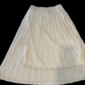 NWT skirt